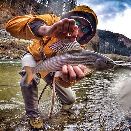 Σαλέ Lisa-chalets Φλαχάου