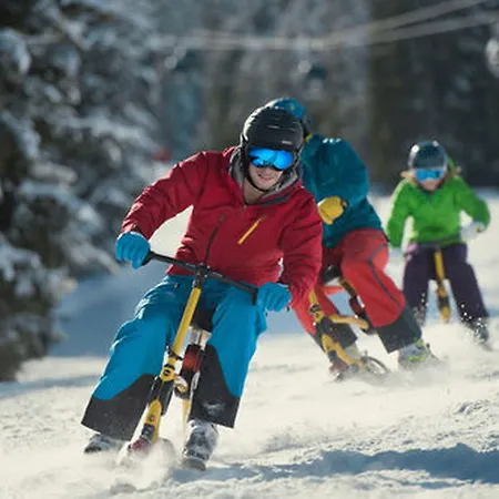 Lisa-chalets Φλαχάου