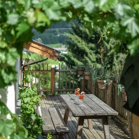 Dağ evi Lisa-chalets Flachau